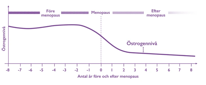 En graf som visar östrogennivån före och efter menopaus